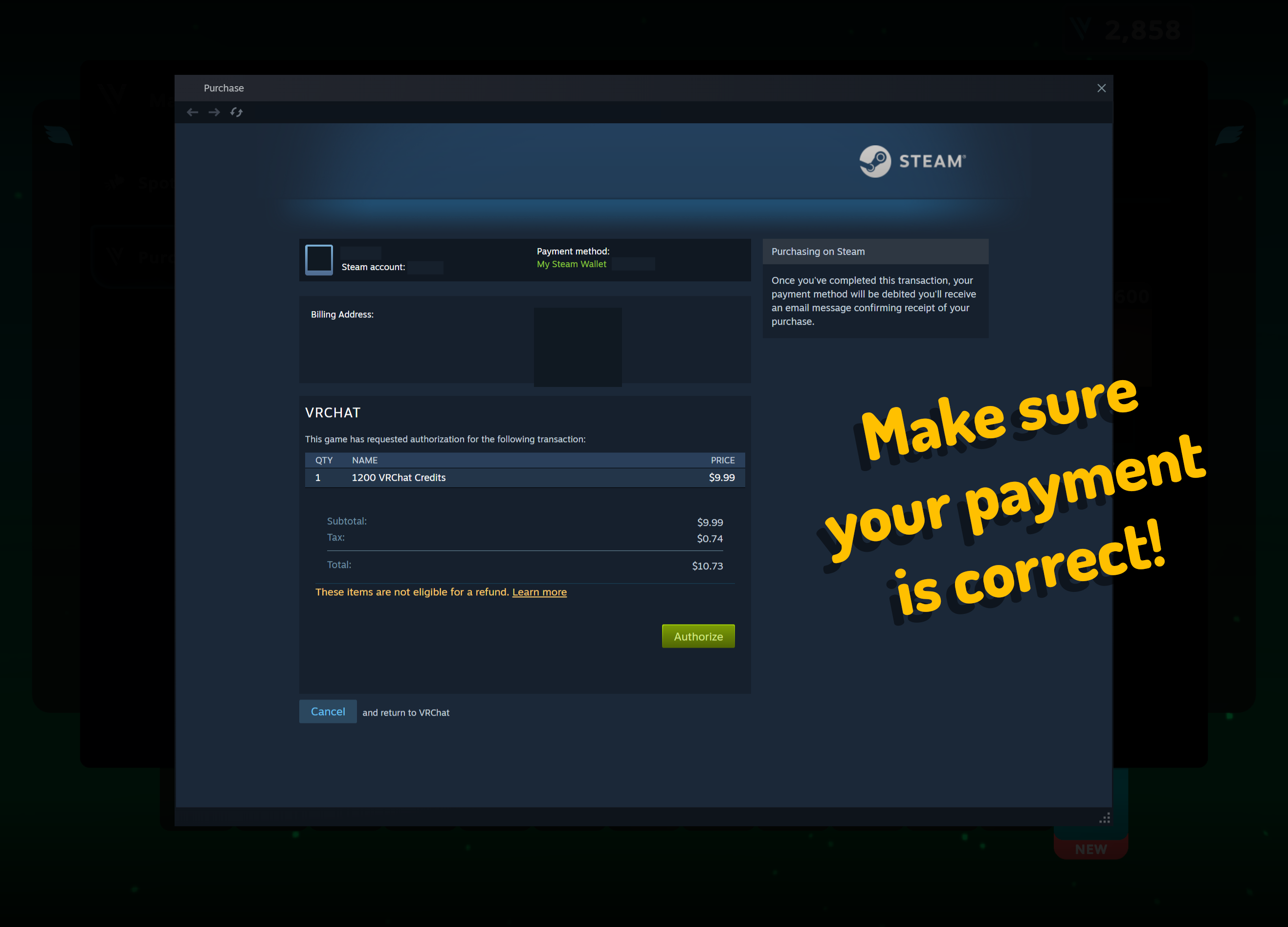 Steam Payment